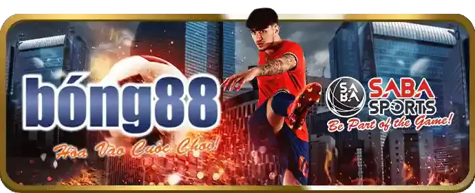 Câu hỏi thường gặp về cá cược bóng đá hq88 code